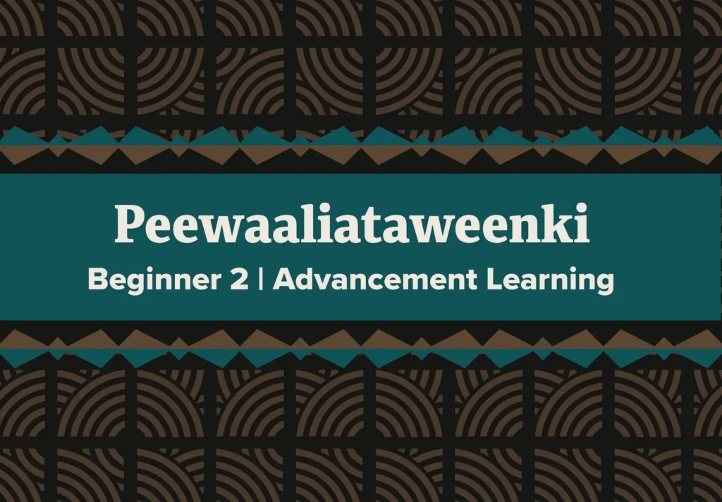 Peewaalia Beginner 2 [2025]