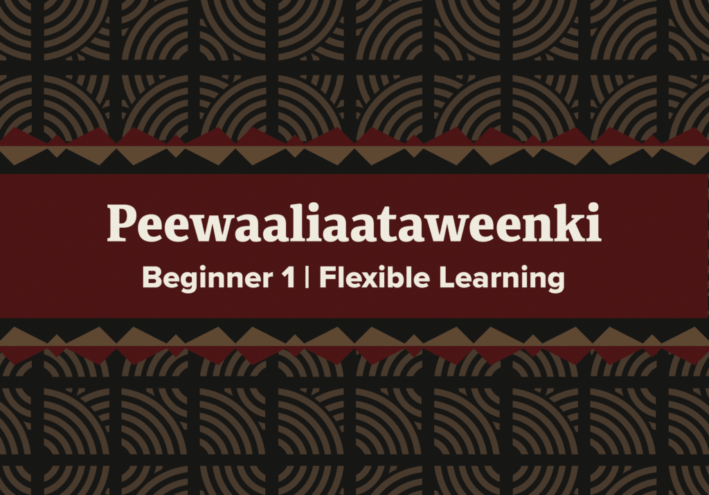 Peewaalia Beginner 1 Flexible [3/10/25]