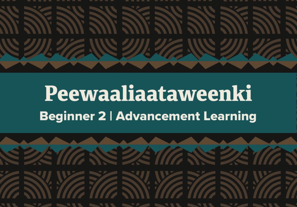 Peewaalia Beginner 2 [2025]