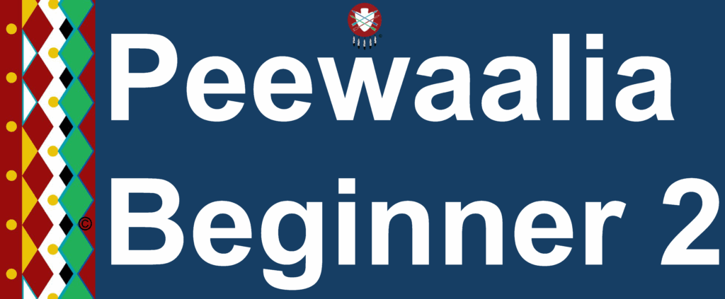 Peewaalia Beginner 2 [2025]
